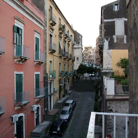 Sake Family - Xl In The Heart Of The Catania